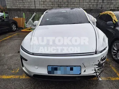 2025, Tesla / Model Y, electric