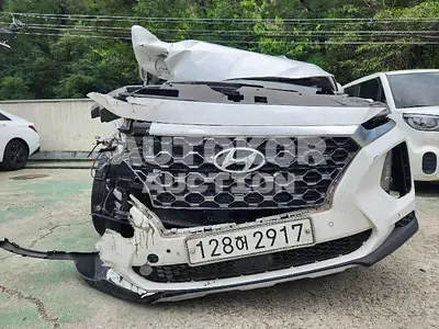2020, Hyundai / Santa FE, VIN: KMHS281BBLU225236, 90330 км., diesel
