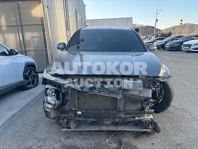2020, Hyundai / Santa FE, VIN: KMHS281BBLU289349, diesel