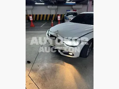 2016, BMW / 320, 90502 км., diesel, 1995 куб.см.