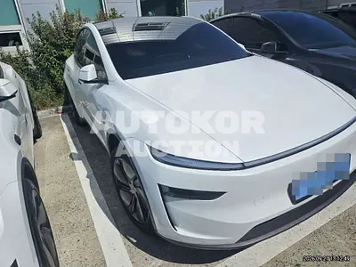 2026, Tesla / Model Y, 1200 км., electric