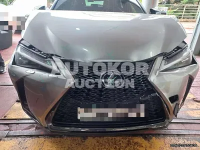 2020, Lexus / ux250h, 60899 км., hybrid