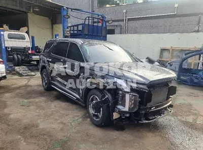 2023, Hyundai / Palisade, VIN: KMHR281EBPU629593, 10250 км., gas, 3800 куб.см.