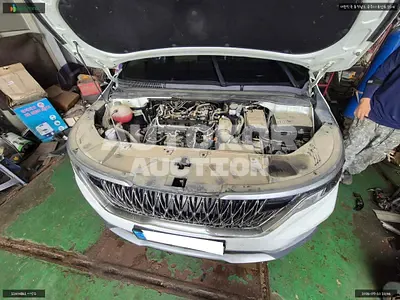 2023, Kia / Carnival, VIN: KNANB81BBPS307411, diesel, 2151 куб.см.