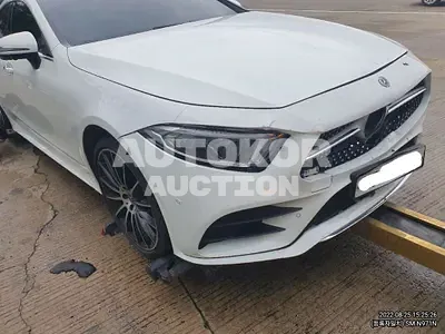 2019, Mercedes-Benz / CLS 400, VIN: WDD2J2DB0KA011550, 80000 км., diesel