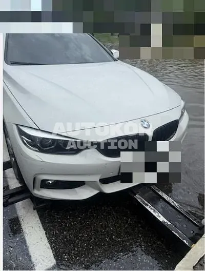 2019, BMW / 420, 38915 км., gas