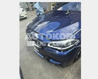 2016, BMW / 520, 178606 км., diesel, 1995 куб.см.