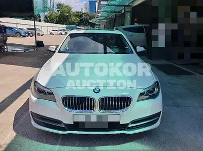 2014, BMW / 520, 232820 км., diesel, 1995 куб.см.