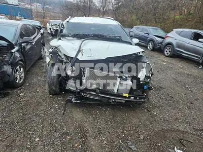 2023, Kia / Carnival, VIN: KNANB81BBPS267550, diesel
