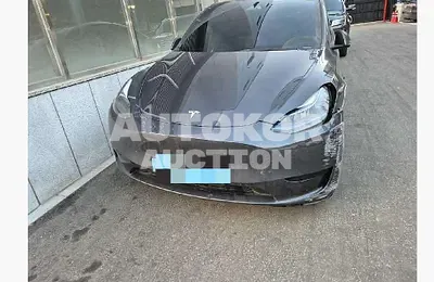 2024, Tesla / Model Y, VIN: LRWYGCFS9RC564490, 23082 км., electric, 173 куб.см.