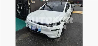 2025, Tesla / Model Y, VIN: LRWYGCFJXSC301938, 364 км., electric, 180 куб.см.