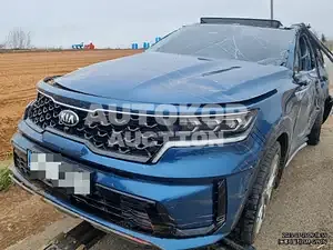 2020, Kia / Sorento, VIN: KNARK81BGMA015419, 70000 км., diesel