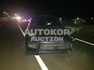 2019, Porsche / Cayenne, VIN: WP1AA29Y4KDA21983, gas