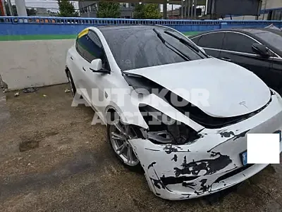2021, Tesla / Model Y, 181047 км., electric