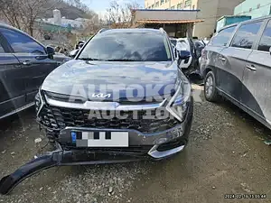 2022, Kia / Sportage, VIN: KNAPY81BGNK059711, 38755 км., gas