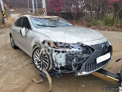 2019, Lexus / ES 300, VIN: JTHB21B15K2025514, 80000 км., hybrid