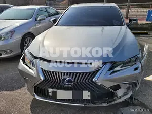 2019, Lexus / ES 300, VIN: JTHB21B10K2052894, 45173 км., hybrid