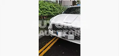 2025, Hyundai / Genesis, gas, 2497 куб.см.