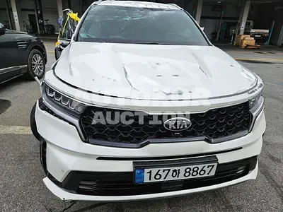 2021, Kia / Sorento, VIN: KNARH81BGMA054794, 59602 км., diesel, 2200 куб.см.