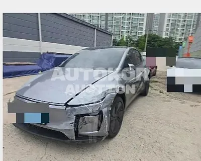 2025, Tesla / Model Y, electric, 258 куб.см.