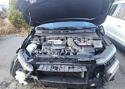 2019, Hyundai / Kona, VIN: KMHK4815GKU356777, gas