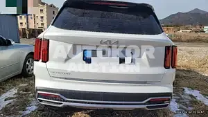 2023, Kia / Sorento, VIN: KNARJ81FGPA201460, 294 км., gas