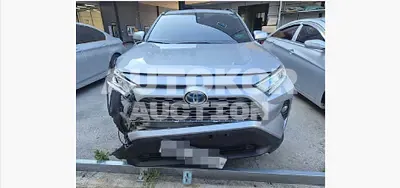 2019, Toyota / RAV4, 406230 км., hybrid, 2487 куб.см.