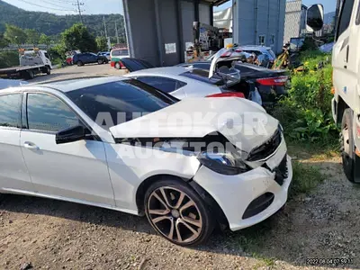 2016, Mercedes-Benz / E 220, VIN: WDDHF0ABXGB236371, diesel