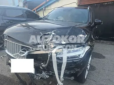 2019, Volvo / XC90, 96094 км., gas