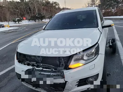 2014, Volkswagen / Tiguan, diesel
