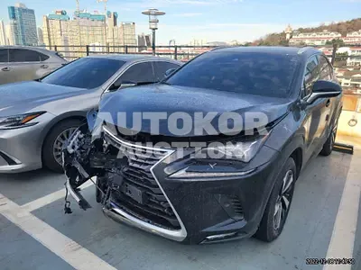2021, Lexus / NX 300, VIN: JTJDJRDZ0M2151651, 21443 км., hybrid