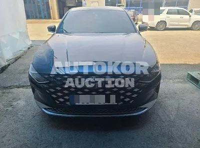 2020, Genesis / grandeur, VIN: KMHF341DBLA321567, 43034 км., gas, 2497 куб.см.