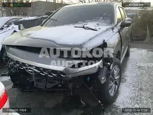 2020, Hyundai / Santa FE, VIN: KMHS281ABLU295929, gas