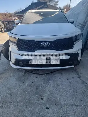 2020, Kia / Sorento, VIN: KNARL81BGMA022582, diesel, 2151 куб.см.