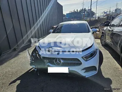 2021, Mercedes-Benz / CLS 450, VIN: W1K2J5KB5MA094822, 43000 км., gas
