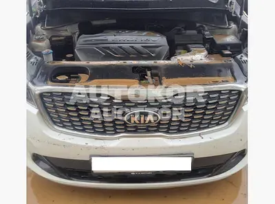 2019, Kia / Sorento, VIN: KNAPF81BBKA505986, diesel