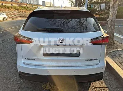 2017, Lexus / NX 300, 176385 км., hybrid, 2494 куб.см.