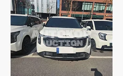 2026, Kia / Carnival, 144 км., hybrid, 1598 куб.см.