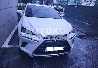 2020, Lexus / NX 300, VIN: JTJDJRDZ2L2128242, 27395 км., hybrid