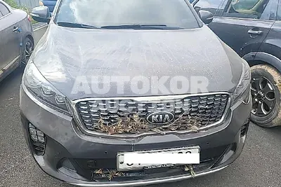 2019, Kia / Sorento, VIN: KNAPS81BBKA499609, diesel