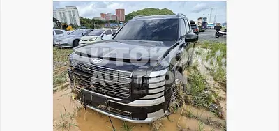2025, Hyundai / Palisade, 11230 км., gas, 249 куб.см.