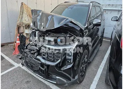 2025, Kia / Carnival, VIN: KNANEB1B0SS470539, diesel, 2200 куб.см.
