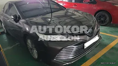 2019, Toyota / Camry, VIN: JTNB11HK9K3084527, 49458 км., gas