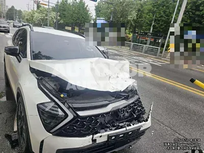2024, Kia / Sportage, gas, 1600 куб.см.