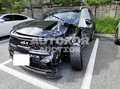 2023, Kia / Sorento, VIN: KNARF81FGPA203989, gas