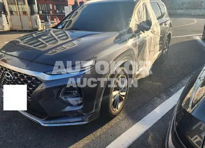 2019, Hyundai / Santa FE, VIN: KMHS581CBKU109769, diesel