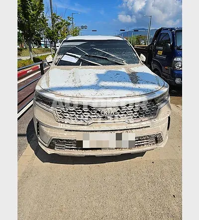 2020, Kia / Sorento, 90000 км., diesel, 2151 куб.см.