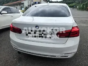 2017, BMW / 320, 26944 км., gas, 1997 куб.см.