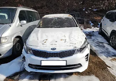 2017, Kia / K5, VIN: KNAGT416BHA128669, lpg