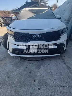 2020, Kia / Sorento, VIN: KNARL81BGMA022582, diesel, 2151 куб.см.